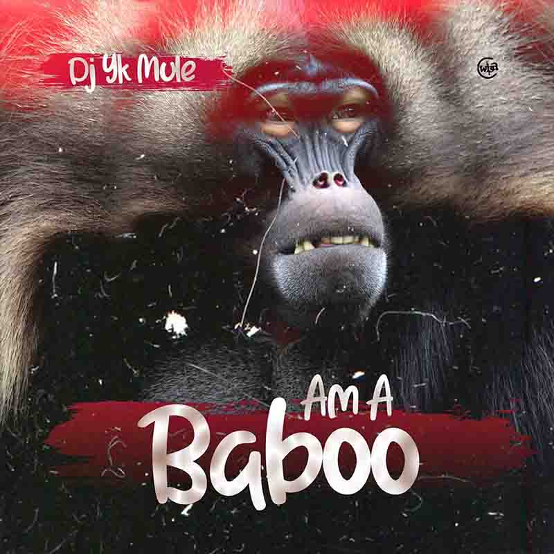 DJ Yk Mule Am a Baboo (Produced by DJ YK Mule)