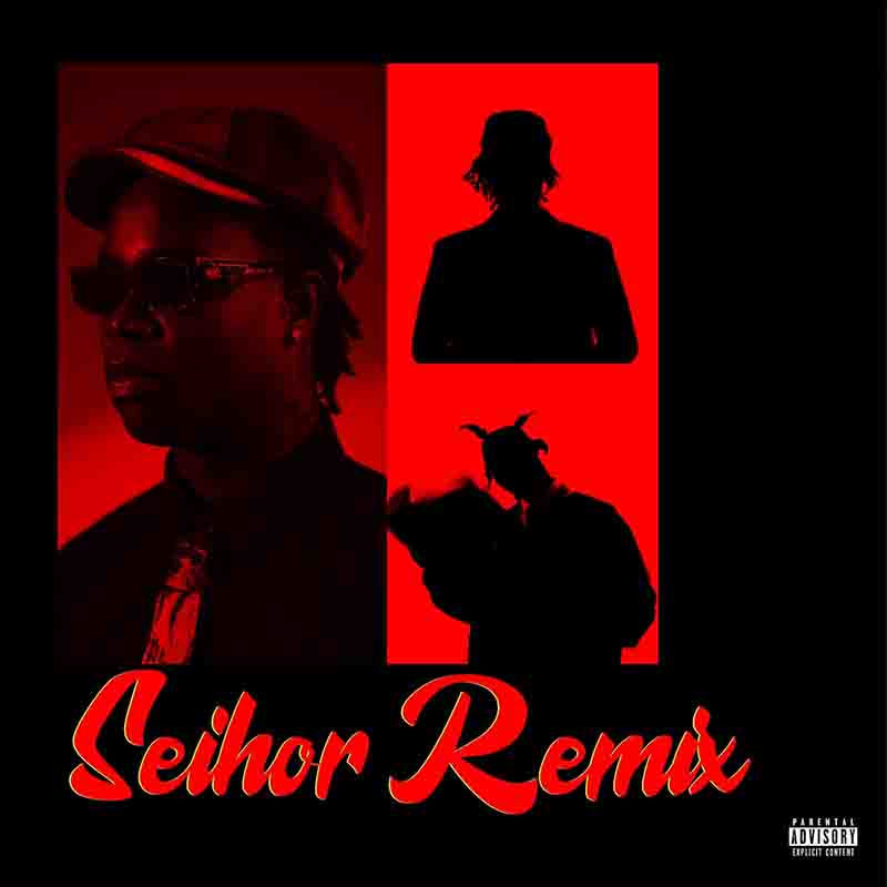 Darkovibes - Seihor remix ft Beeztrap KOTM x Kofi Mole