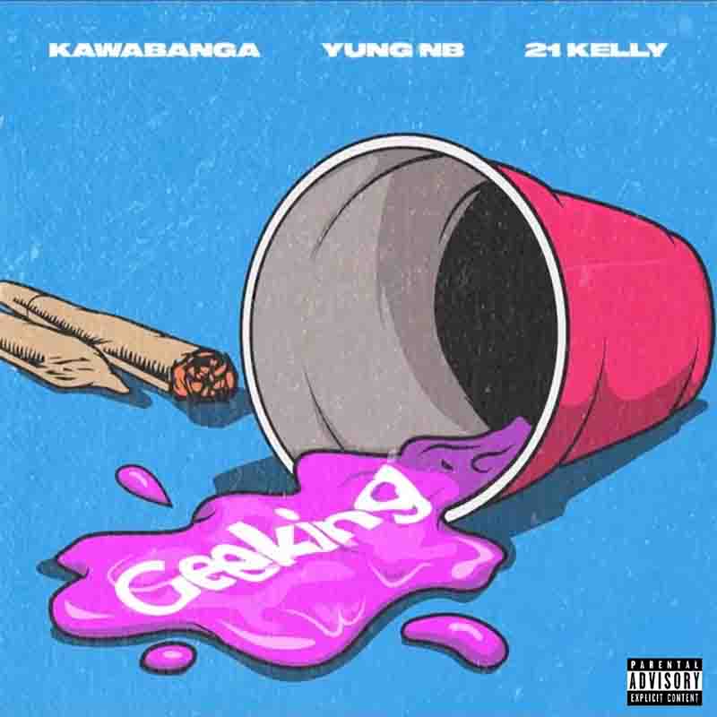 Kawabanga Geeking