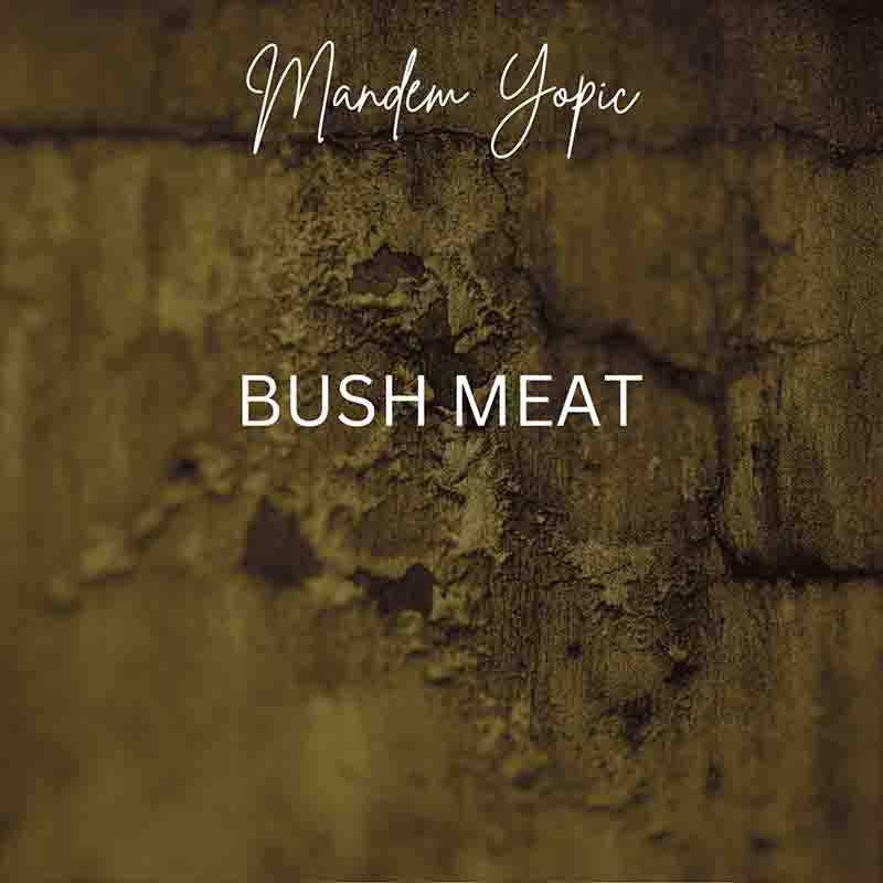 Mandem Yopic - Bush Meat (Ghana MP3 Music)