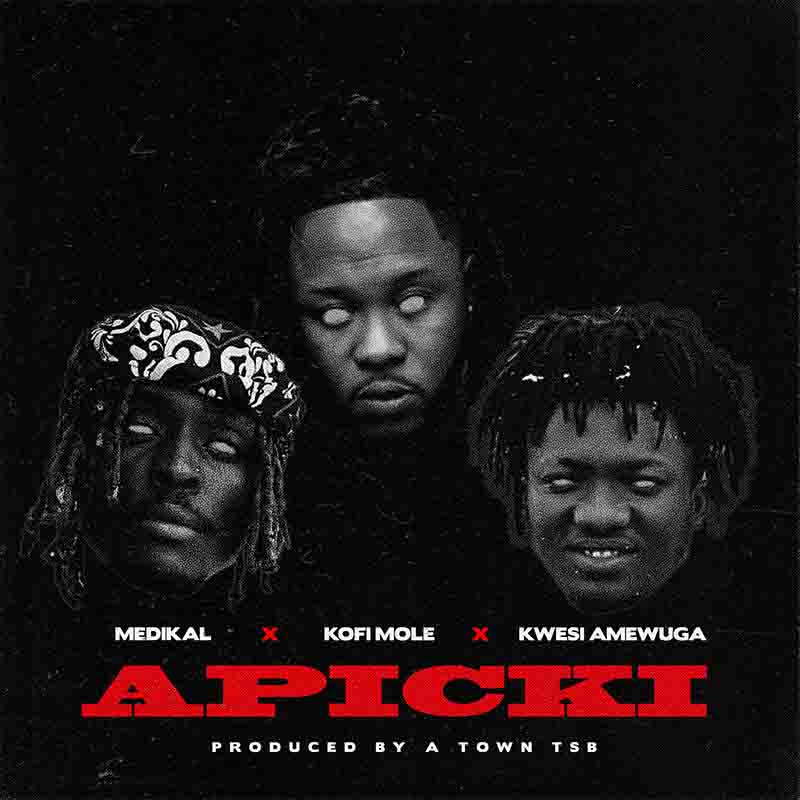 Medikal - Apicki ft Kofi Mole & Kwesi Amewuga (Prod by Atown TSB)