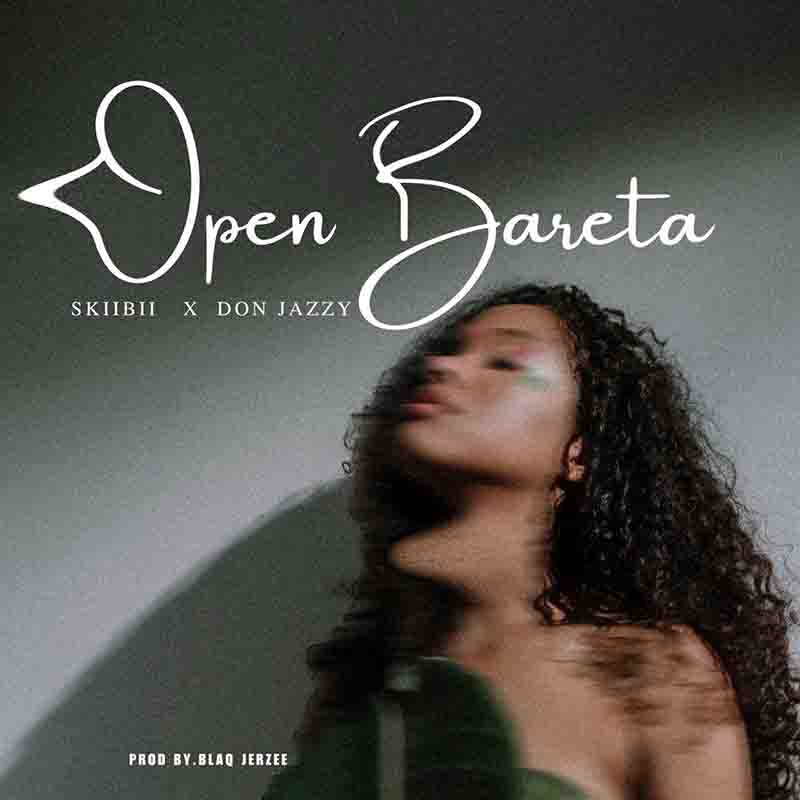 Skiibii, Don Jazzy - Open Bareta (Naija Afrobeats 2024 MP3)