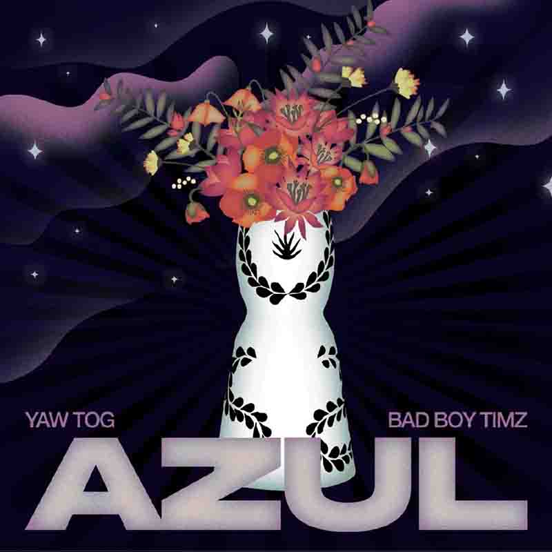 Yaw Tog - Azul ft Bad Boy Timz (Who Order Azul MP3)