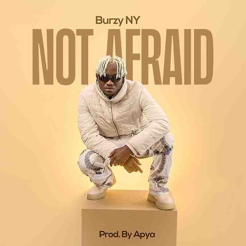 Burzy NY - Not Afraid (Produced by Apya)